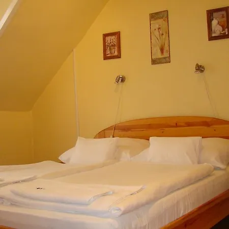 Thermal Apartmanhaz Apartman *